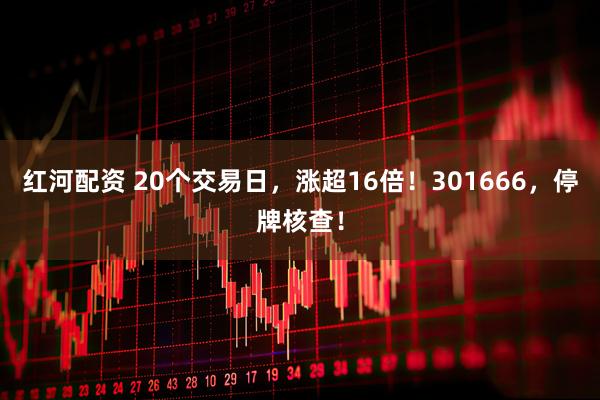 红河配资 20个交易日，涨超16倍！301666，停牌核查！