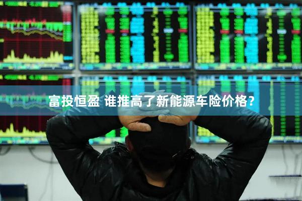富投恒盈 谁推高了新能源车险价格？