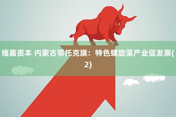 维嘉资本 内蒙古鄂托克旗：特色螺旋藻产业促发展(2)